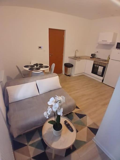 Appartement F1 Orchidee Mulhouse Exterior photo