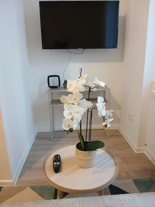 Appartement F1 Orchidee Mulhouse Exterior photo